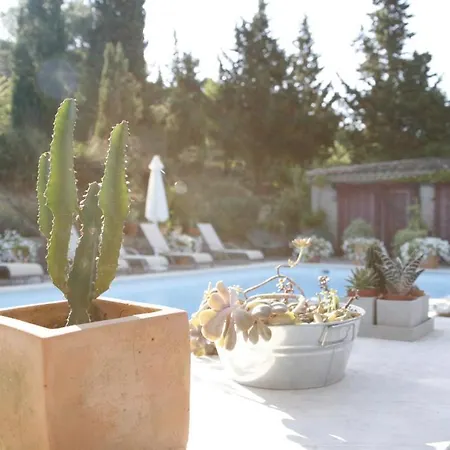 Bed & Breakfast La Maison Sur La Colline Carcassonne