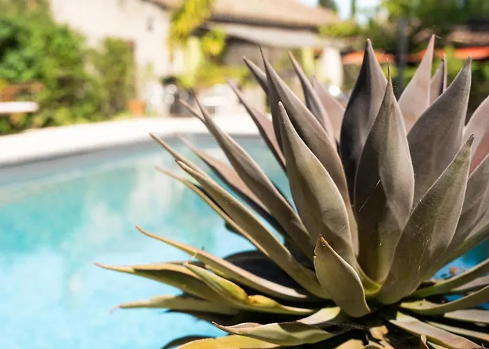 La Maison Sur La Colline Carcassonne