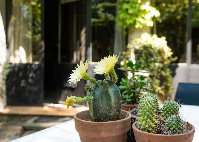 La Maison Sur La Colline 3* Carcassonne