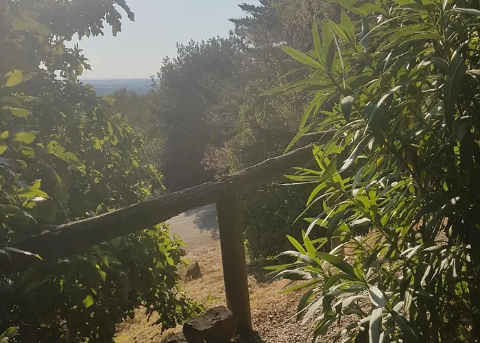 La Maison Sur La Colline Bed & Breakfast