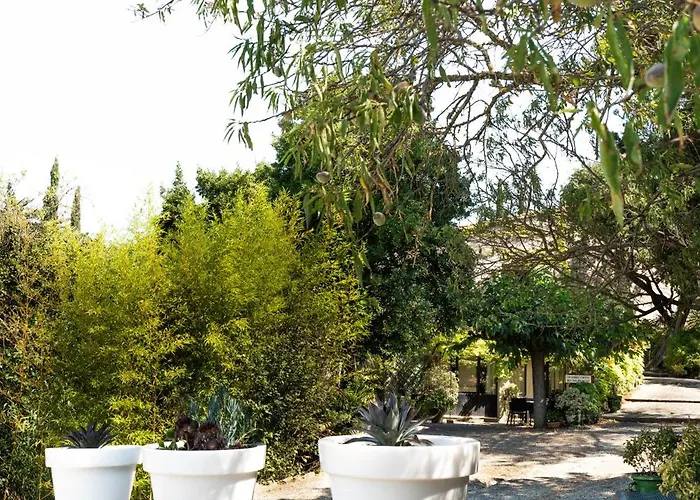 Bed & Breakfast La Maison Sur La Colline